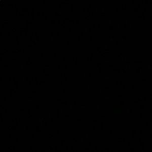 Meet your Posher, Cora